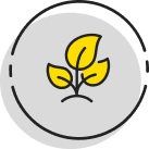 Feature Icon