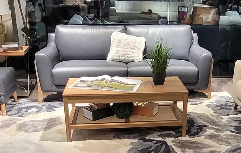 Gray Couch